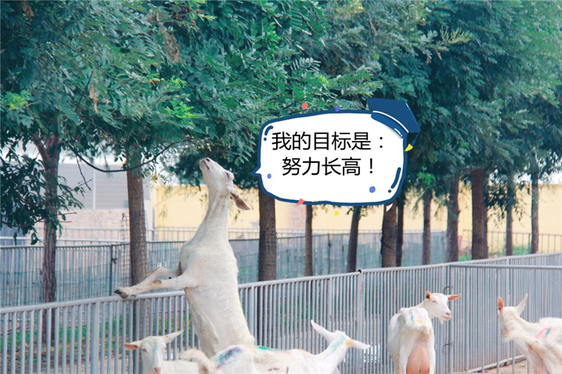 1606989117615053.jpg 图片5.jpg