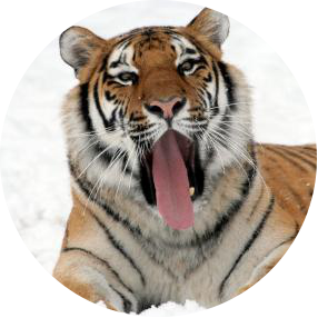 1607313265516037.png 图片4.png