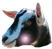1613986816737822.png 图片1.png