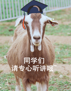 1613986852287065.png 图片4.png