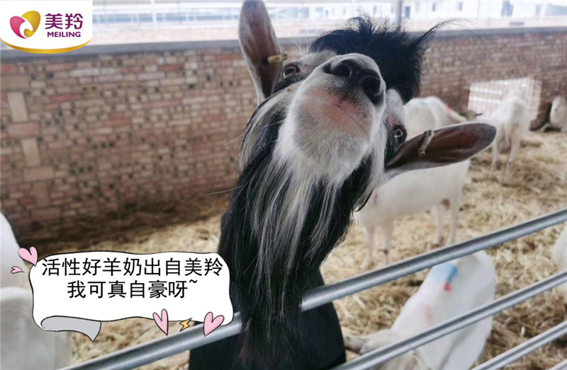 1618284914117872.jpg 图片11.jpg