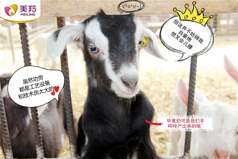 1618623655604854.jpg 图片1.jpg