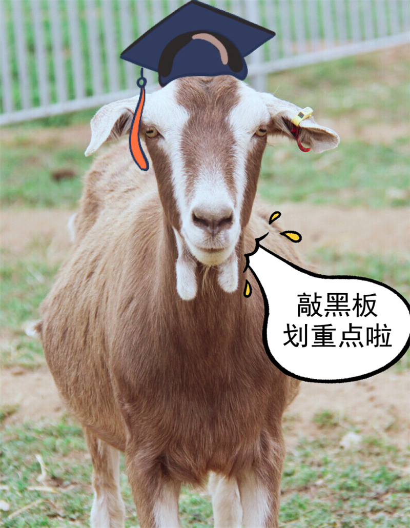 1619251989435223.jpg 图片1.jpg