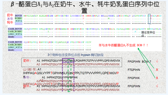 1622043585110393.png 图片.png