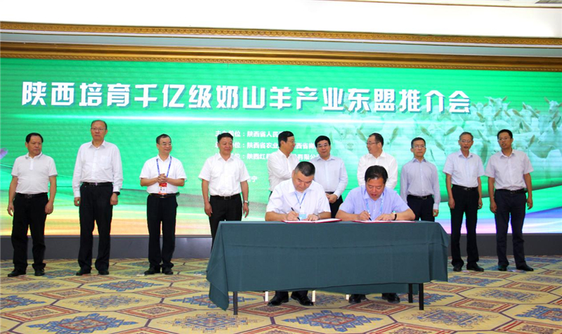 1626429398100453.jpg 图片10.jpg