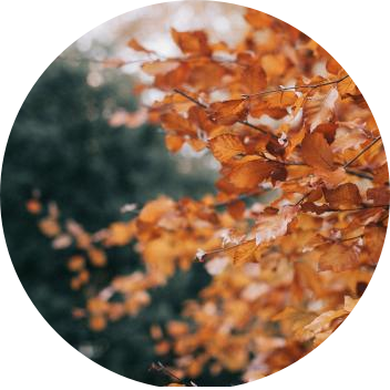 1634975171324115.png 图片6.png