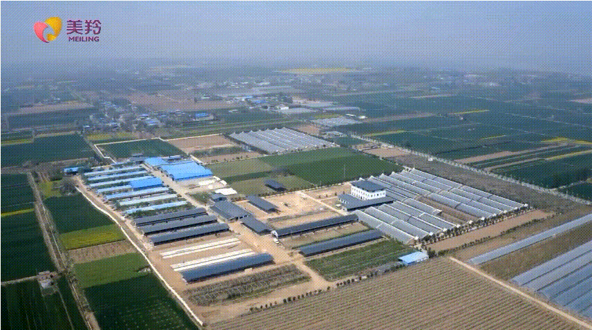 1637809443612729.png 图片.png