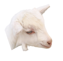 1645174343135859.png 图片6.png
