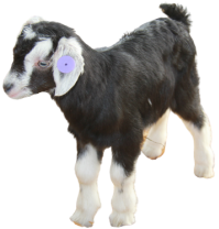 1645174351162531.png 图片5.png