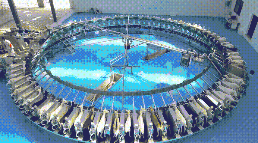 1656062924110200.png 图片.png
