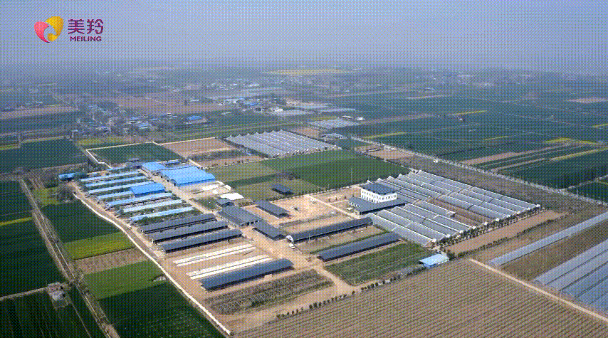 1657879696962319.png 图片.png