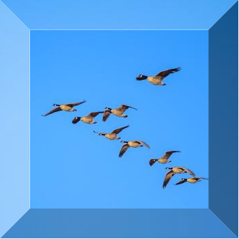 1665211679403035.png 图片2.png