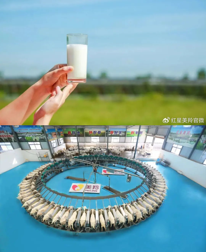 1701931725122722.png image.png
