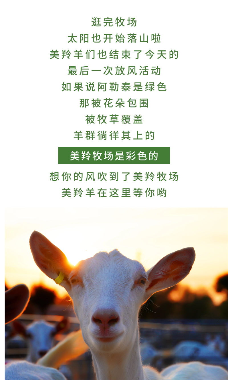 稿定设计-10.jpg