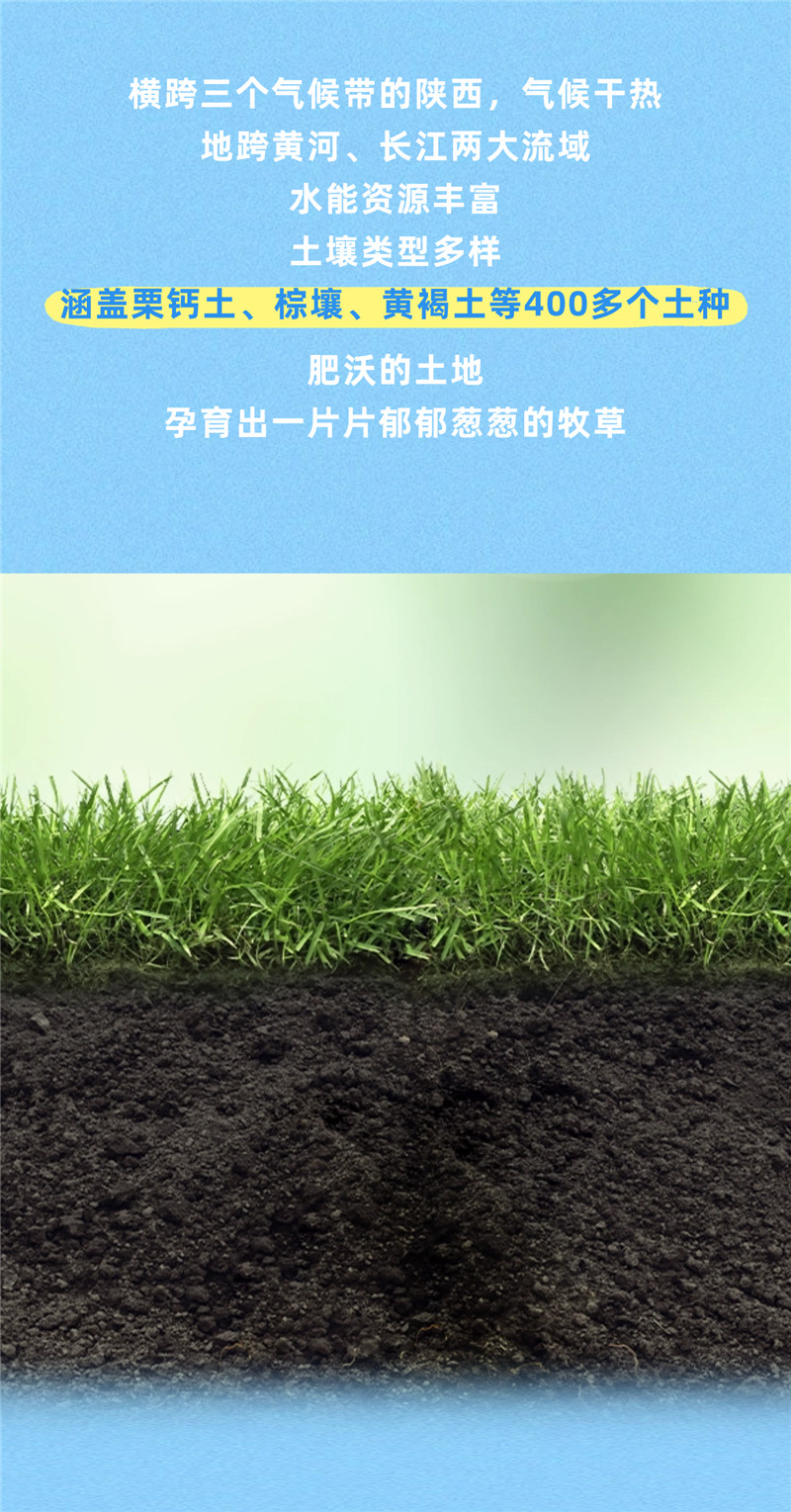 稿定设计-3.jpg